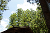 2025camp(143)_thumb.png