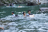 2025camp(354)_thumb.png