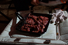 2025camp(548)_thumb.png