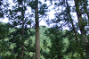 2025camp(552)_thumb.png