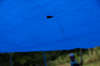 2019camp(137)_thumb.png