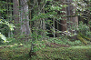 2019camp(149)_thumb.png