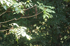 2019camp(166)_thumb.png