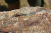 2019camp(176)_thumb.png