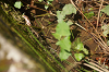2019camp(187)_thumb.png