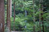 2019camp(190)_thumb.png