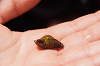 2019camp(224)_thumb.png