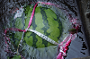 2019camp(301)_thumb.png