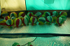 2019camp(331)_thumb.png