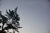 2019camp(395)_thumb.png